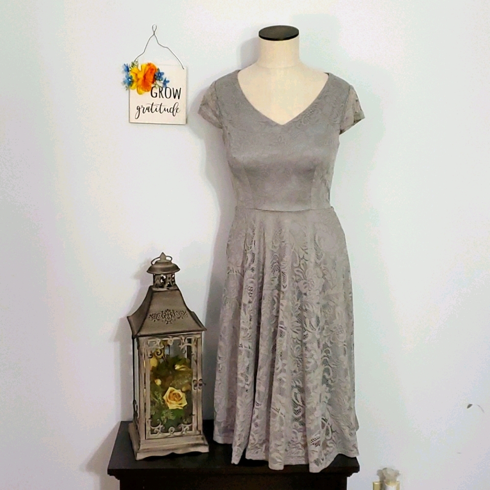 💙Bery Love Sliver Lace XS Knee Length Dress